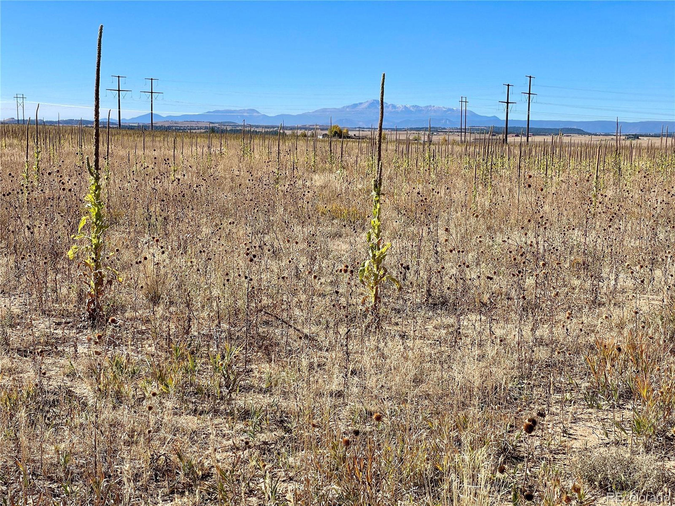 2 County Road 98 Elbert, CO 80106 - Photo 2 of 7