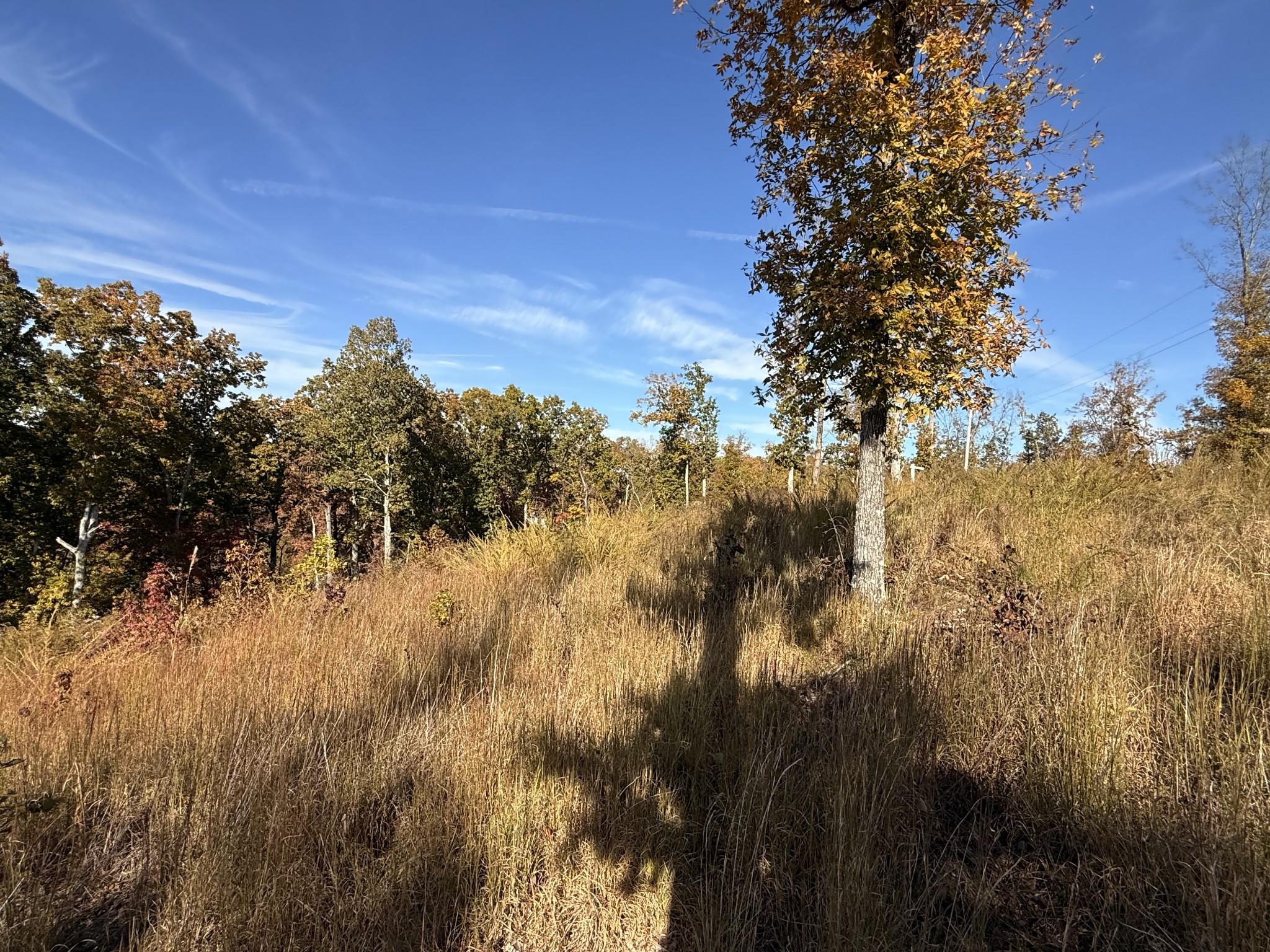 54 Ridge Top Road Stewart, TN 37175 - Photo 4 of 7 a view of a yard of a house with a yard