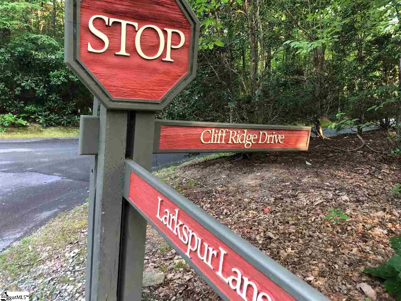 603 Cliff Ridge Drive Cleveland, SC 29635 - Photo 23 of 30