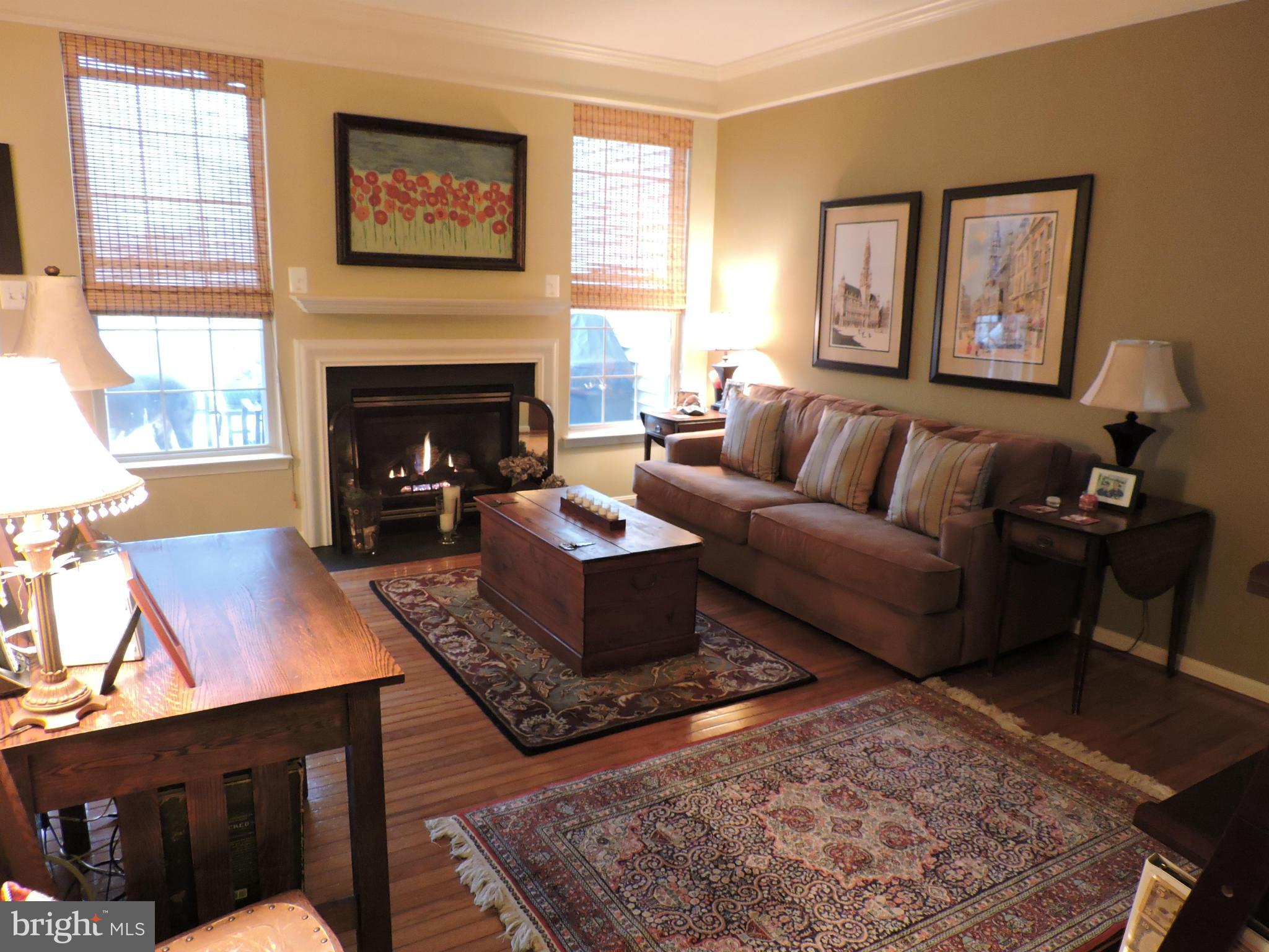 2448 Rippling Brook Road Frederick, MD 21701 - Photo 11 of 30 a living room with furniture and a fireplace