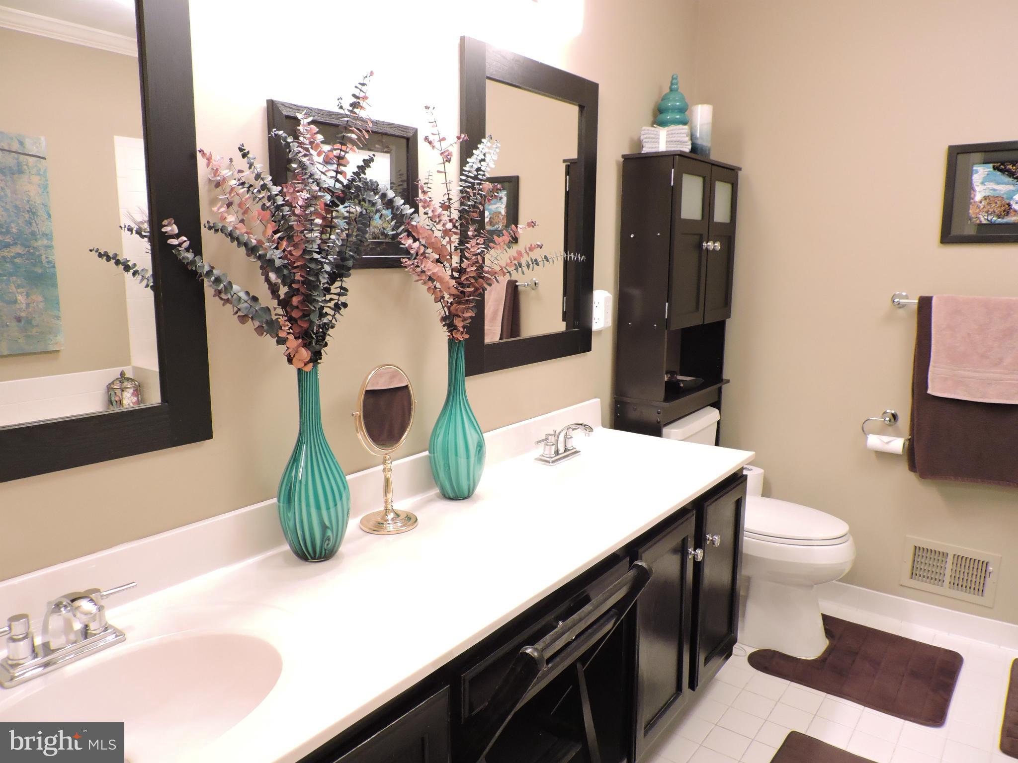 2448 Rippling Brook Road Frederick, MD 21701 - Photo 21 of 30 a view of a bathroom with a sink and mirror
