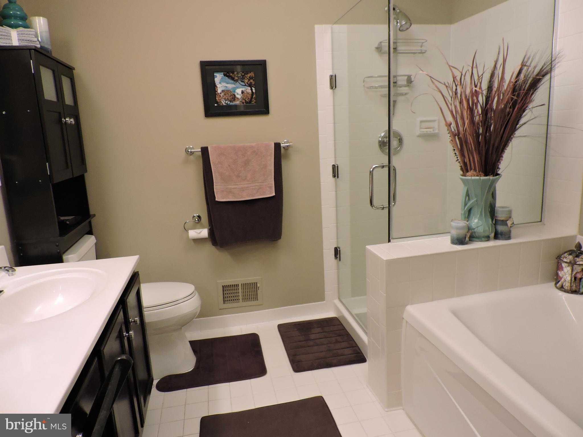 2448 Rippling Brook Road Frederick, MD 21701 - Photo 22 of 30 a bathroom with a sink toilet a mirror and shower