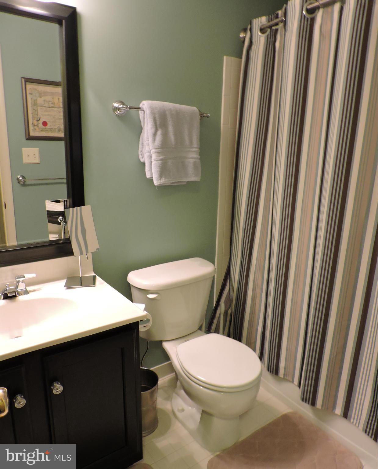 2448 Rippling Brook Road Frederick, MD 21701 - Photo 24 of 30 a bathroom with a sink a toilet a mirror and vanity
