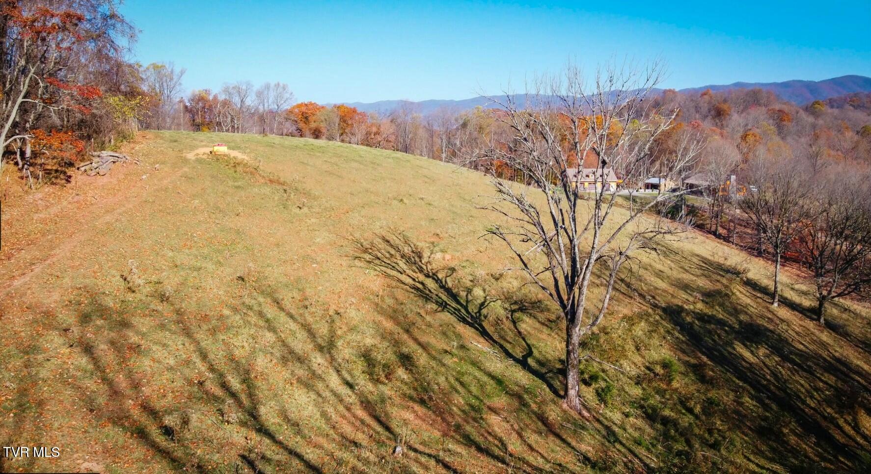 Tbd Blacksnake Hollow Road Elizabethton, TN 37643 - Photo 1 of 1 tempImage6Mm1wf
