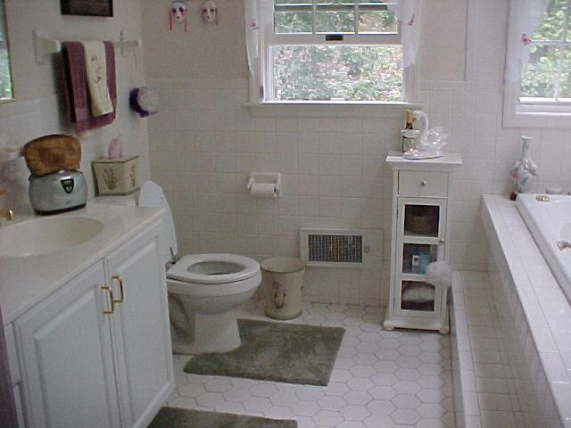 29 Hunters Farm Road Henryville, PA 18332 - Photo 3 of 6 WinchellBath