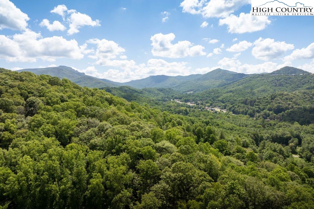 509 Twin Rivers Drive Boone, NC 28607 - Photo 3 of 33 a view of a city and mountains