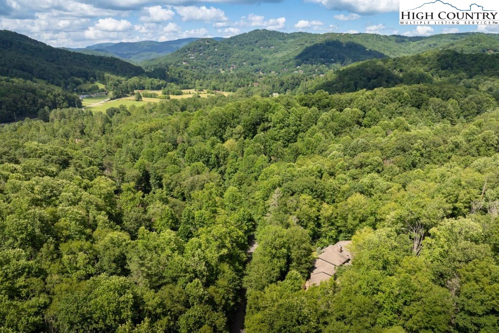 509 Twin Rivers Drive Boone, NC 28607 - Photo 33 of 33 a view of a field with an trees