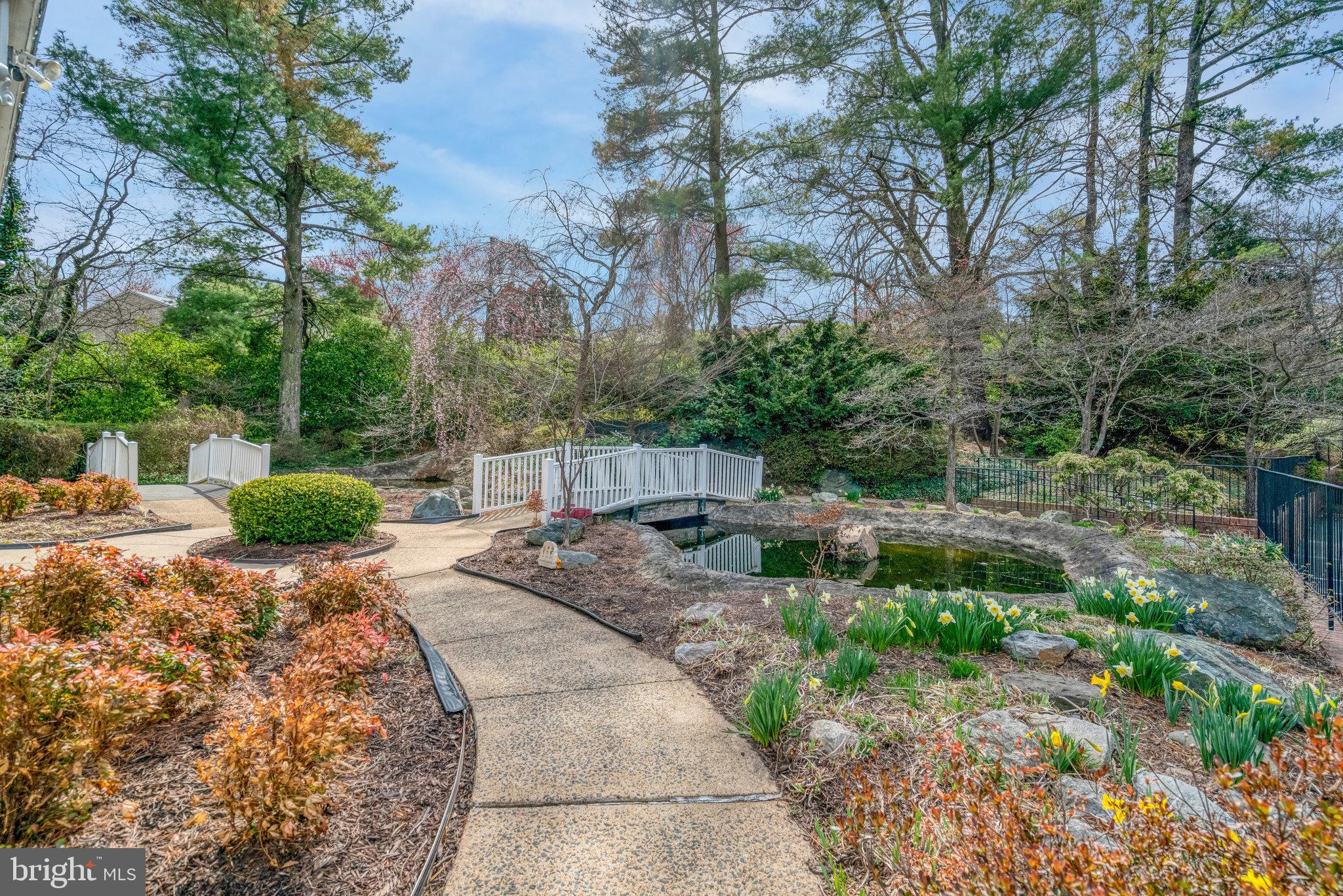 7640 Provincial Drive, Unit 109 McLean, VA 22102 - Photo 42 of 47 a view of backyard with green space