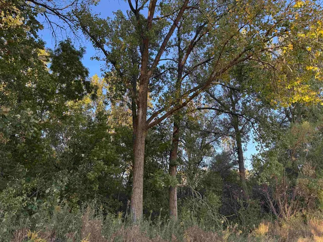 $44,900 | 4.3 M/l Acres County Road O, Shullsburg, WI 53586