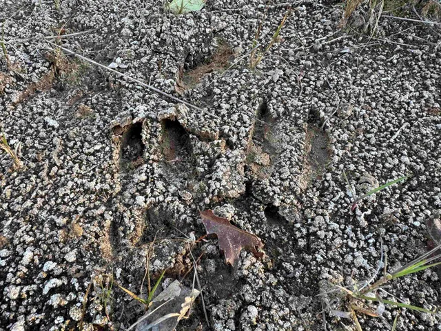 $44,900 | 4.3 M/l Acres County Road O, Shullsburg, WI 53586