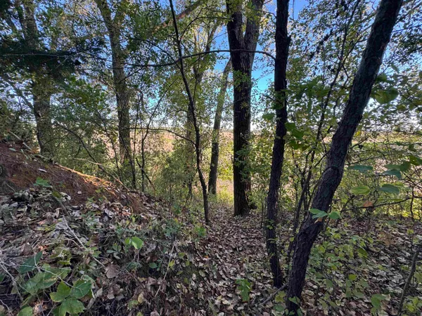 $44,900 | 4.3 M/l Acres County Road O, Shullsburg, WI 53586