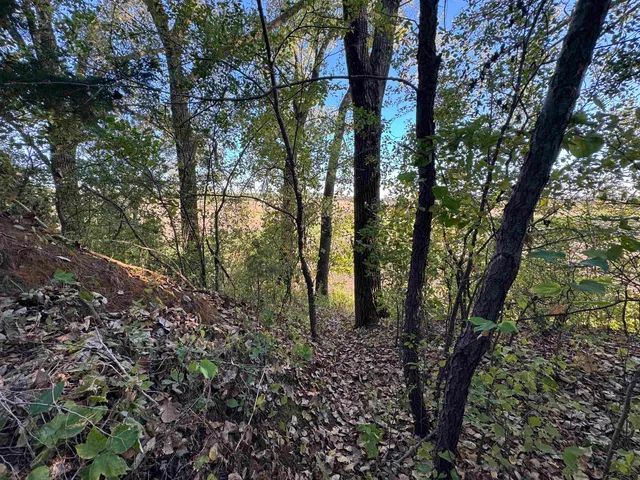 $44,900 | 4.3 M/l Acres County Road O, Shullsburg, WI 53586