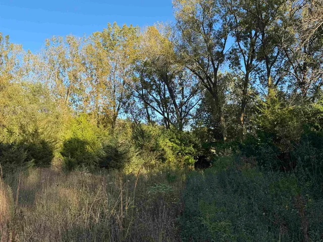 $44,900 | 4.3 M/l Acres County Road O, Shullsburg, WI 53586