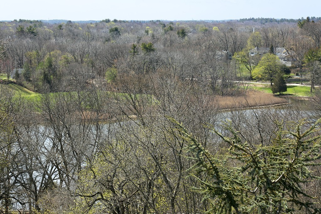 34 Rice Road Hingham, MA 02043 - Photo 14 of 15 Gallery Image 14