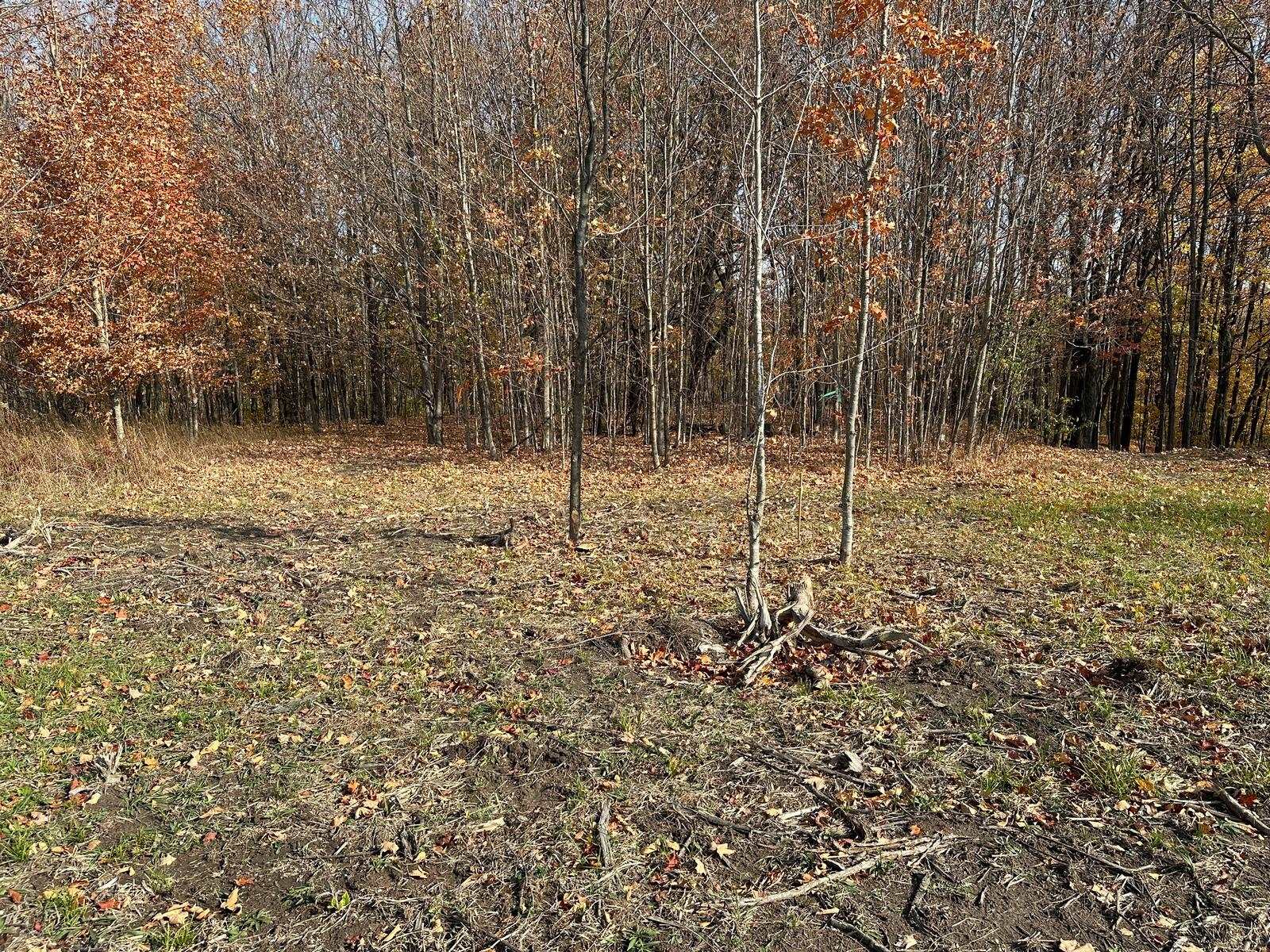 4461 Powell Road Kewadin, MI 49648 - Photo 15 of 18 Gallery Image 15