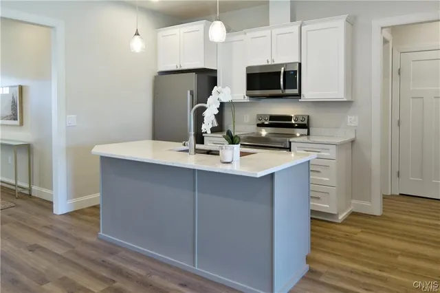 $3,250 | 20 Blue Heron Way, Lansing, NY 14850