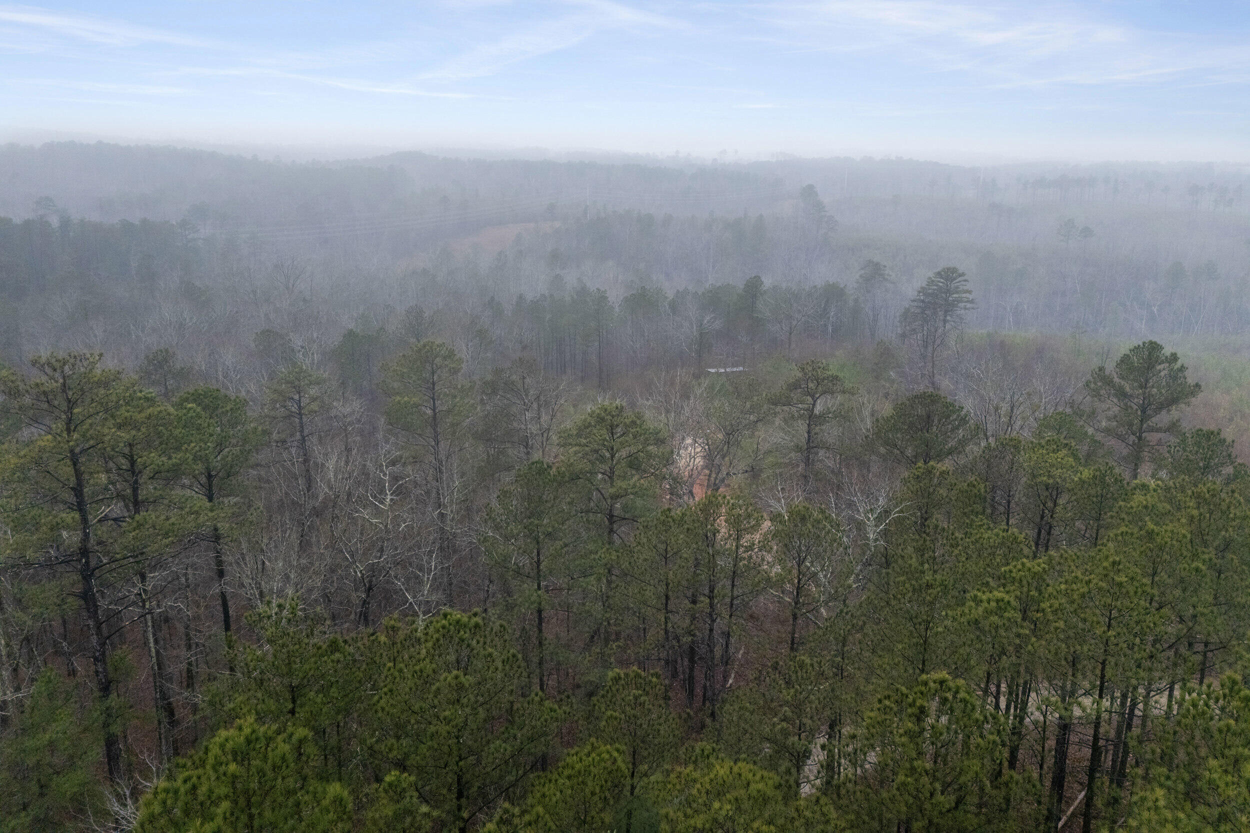 610 Forest Service Road Clarks Hill, SC 29821 - Photo 6 of 15 Gallery Image 6