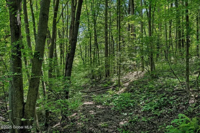 $300,000 | 112 Woods Lane, Menands, NY 12204