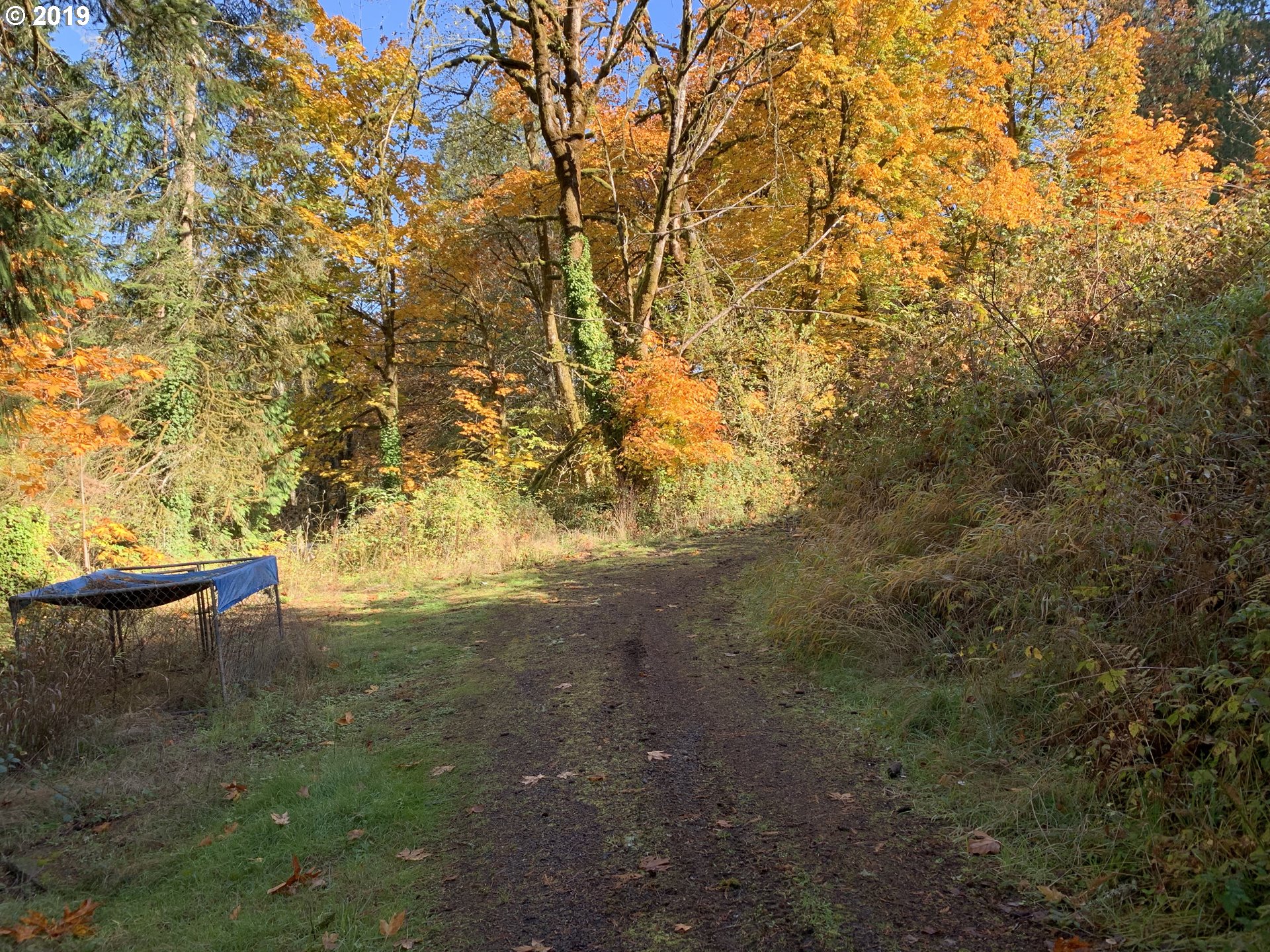 663 Modrow Road Kalama, WA 98625 - Photo 2 of 11 Gallery Image 2