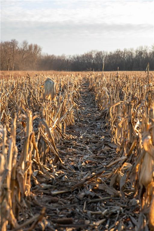 0 West State M Highway Eagleville, MO 64442 - Photo 23 of 41