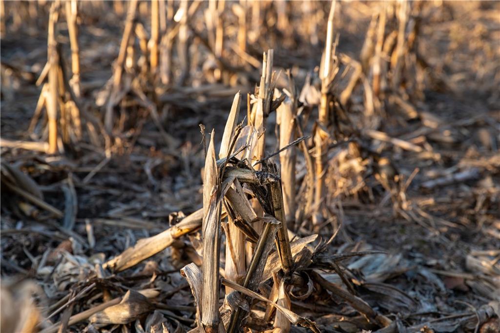 0 West State M Highway Eagleville, MO 64442 - Photo 24 of 41