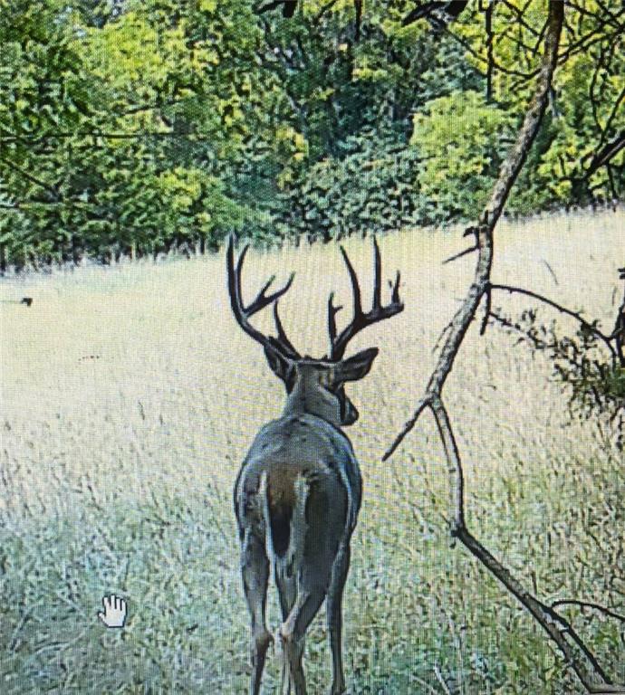 0 West State M Highway Eagleville, MO 64442 - Photo 34 of 41