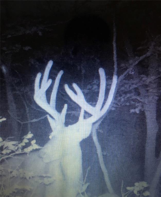 0 West State M Highway Eagleville, MO 64442 - Photo 35 of 41