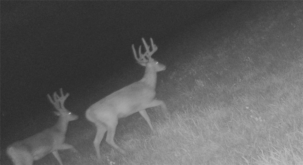 0 West State M Highway Eagleville, MO 64442 - Photo 38 of 41