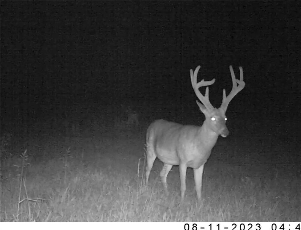 0 West State M Highway Eagleville, MO 64442 - Photo 39 of 41