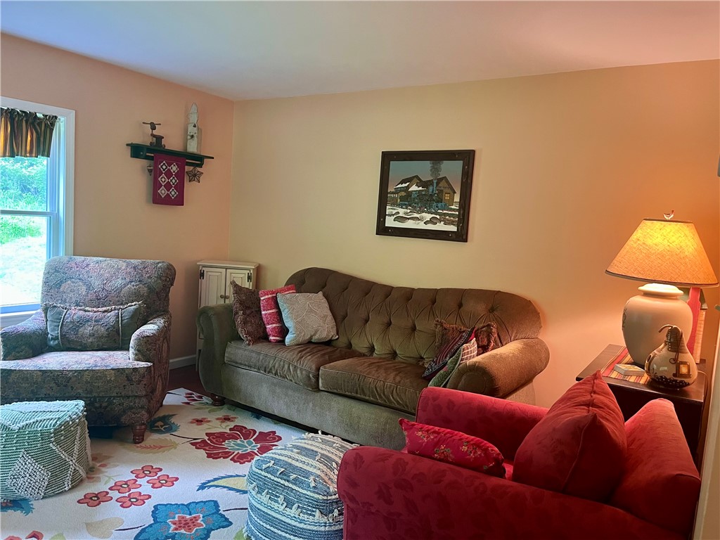 118 Snowburg Road Southport, NY 14871 - Photo 8 of 50