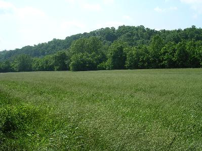 9707 Camp Daniel Boone Road Lexington, KY 40515 - Photo 8 of 37 Photo 8