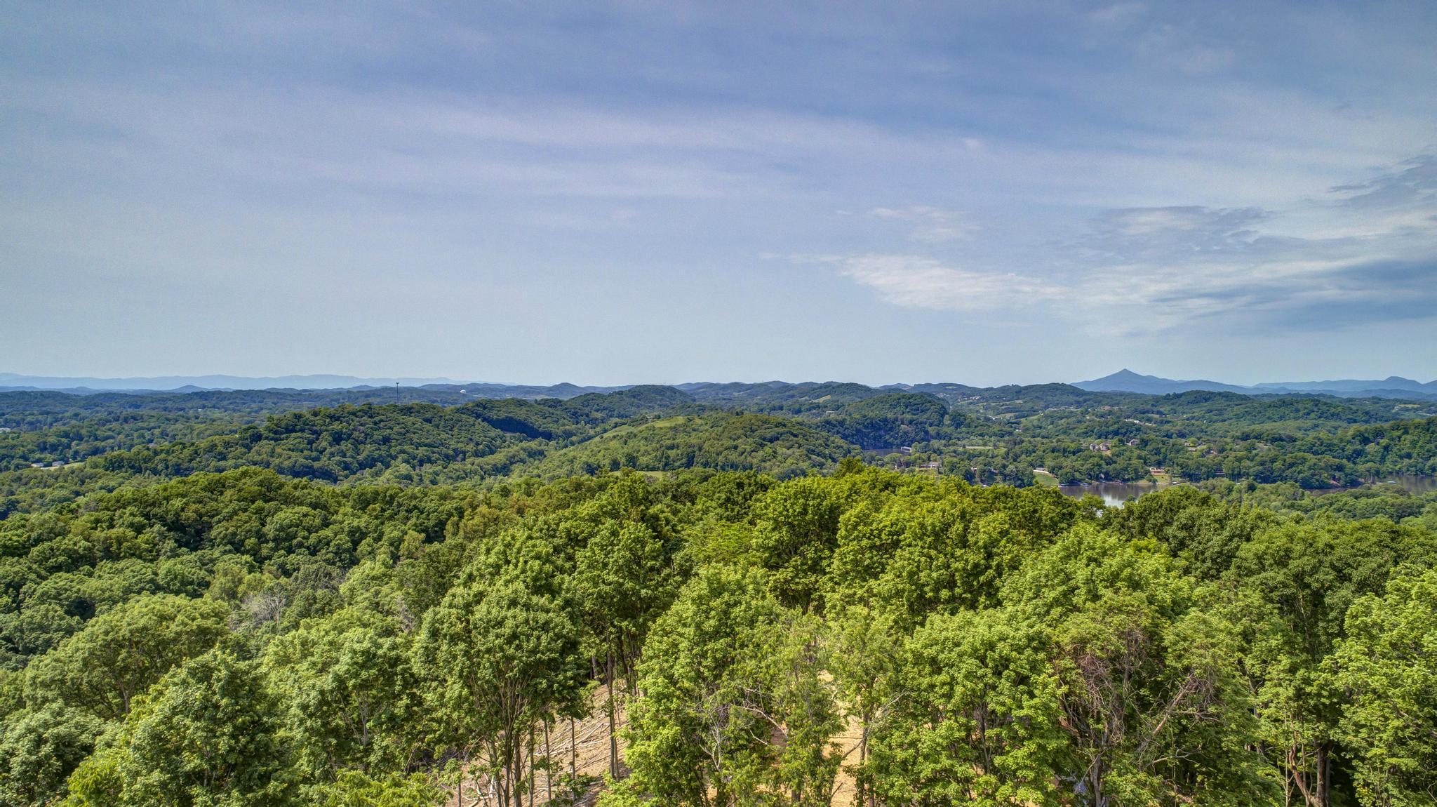 Lot 2 Cooks Landing Road Kingsport, TN 37664 - Photo 1 of 20 CooksLandingDrone13