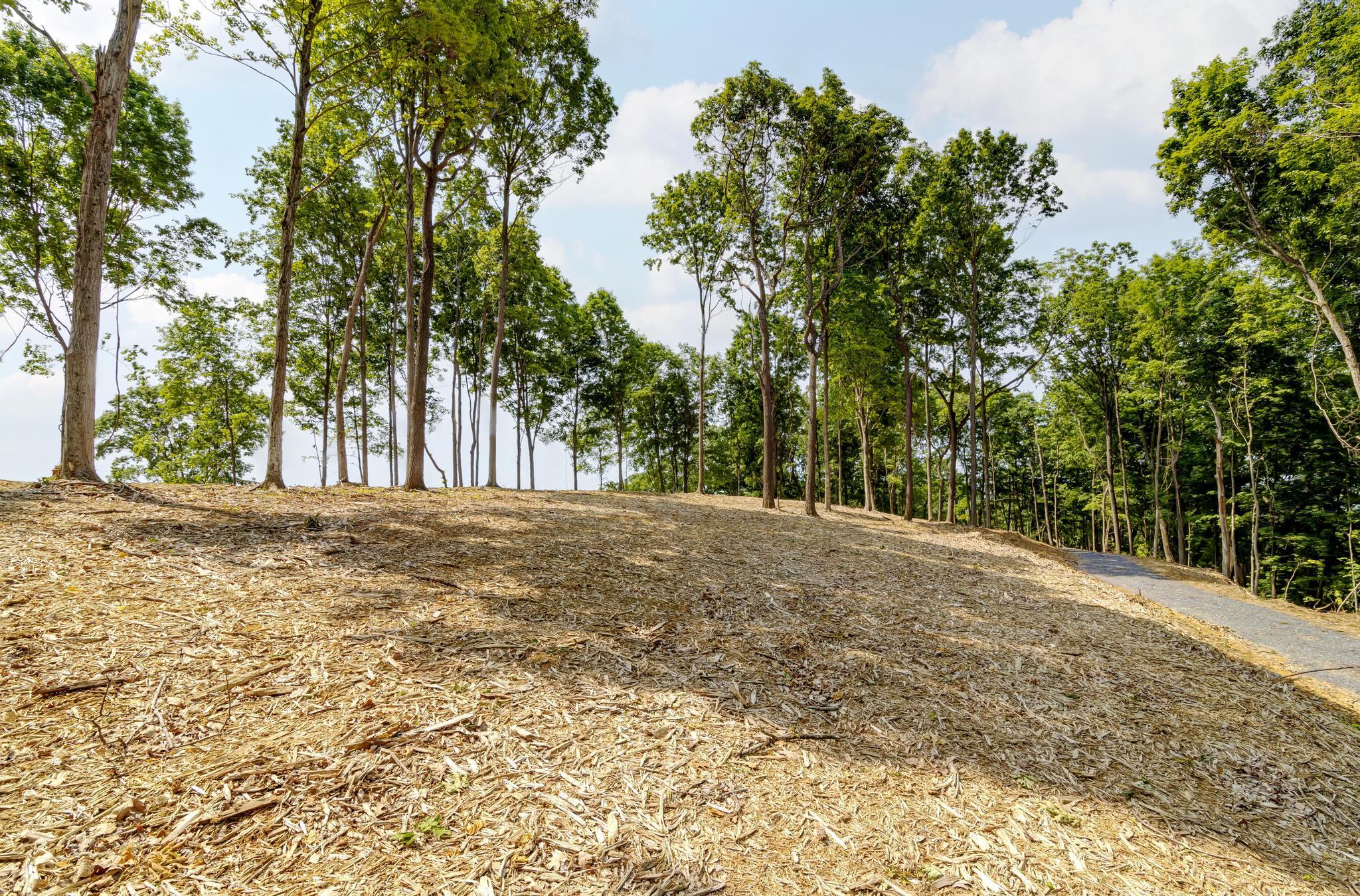 Lot 2 Cooks Landing Road Kingsport, TN 37664 - Photo 12 of 20 CooksLandingGround4