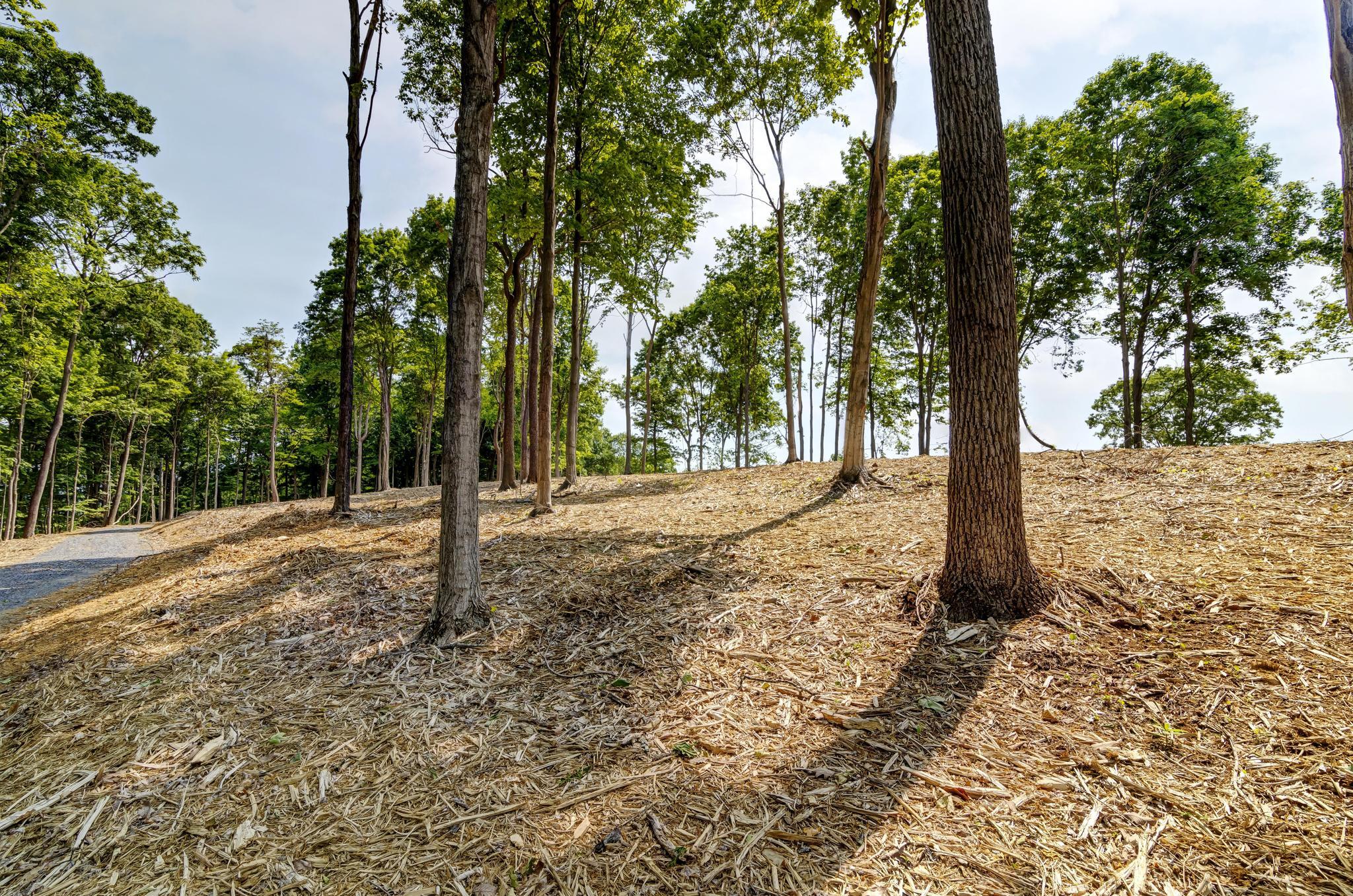 Lot 2 Cooks Landing Road Kingsport, TN 37664 - Photo 14 of 20 CooksLandingGround6
