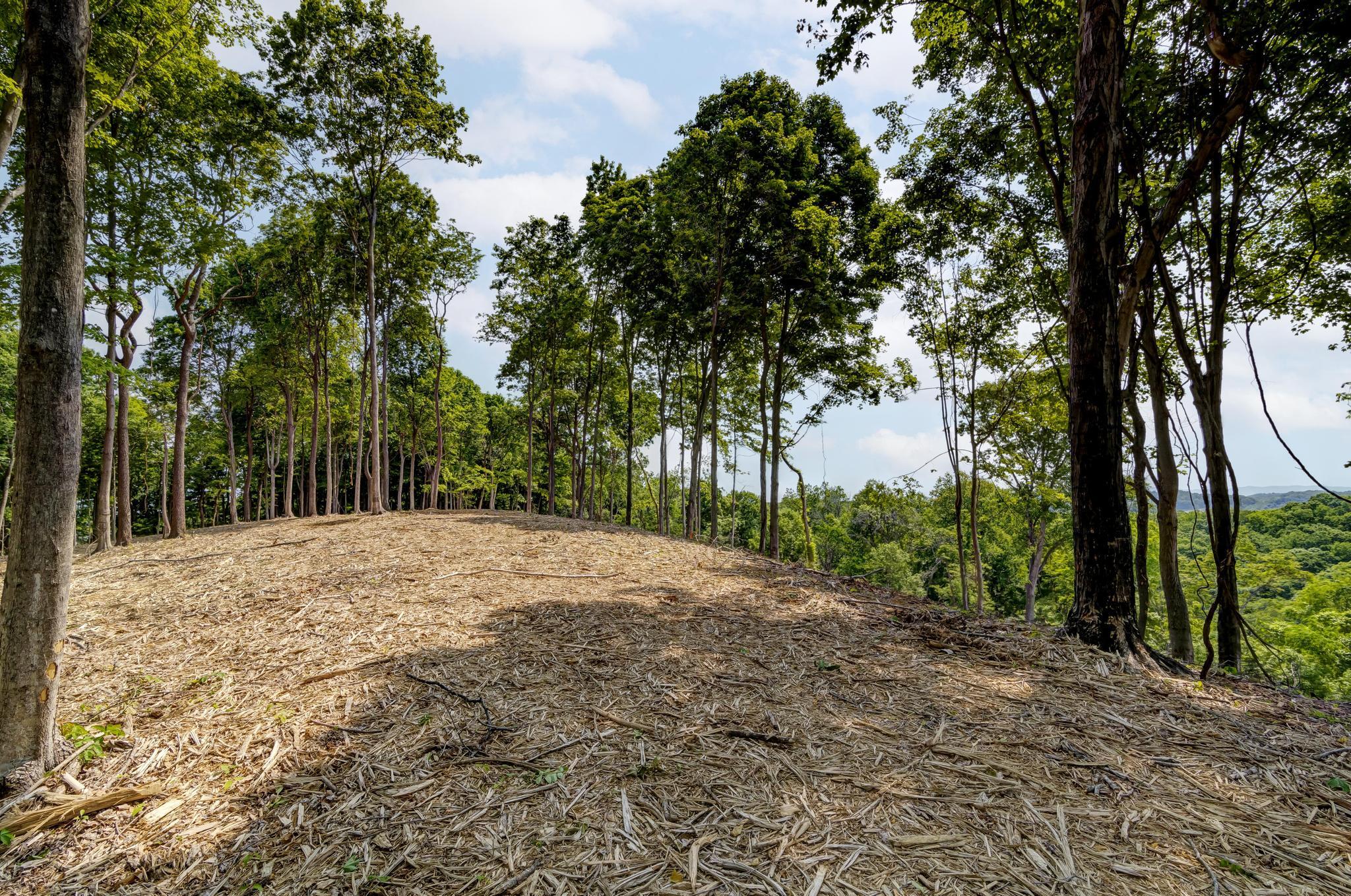 Lot 2 Cooks Landing Road Kingsport, TN 37664 - Photo 15 of 20 CooksLandingGround7