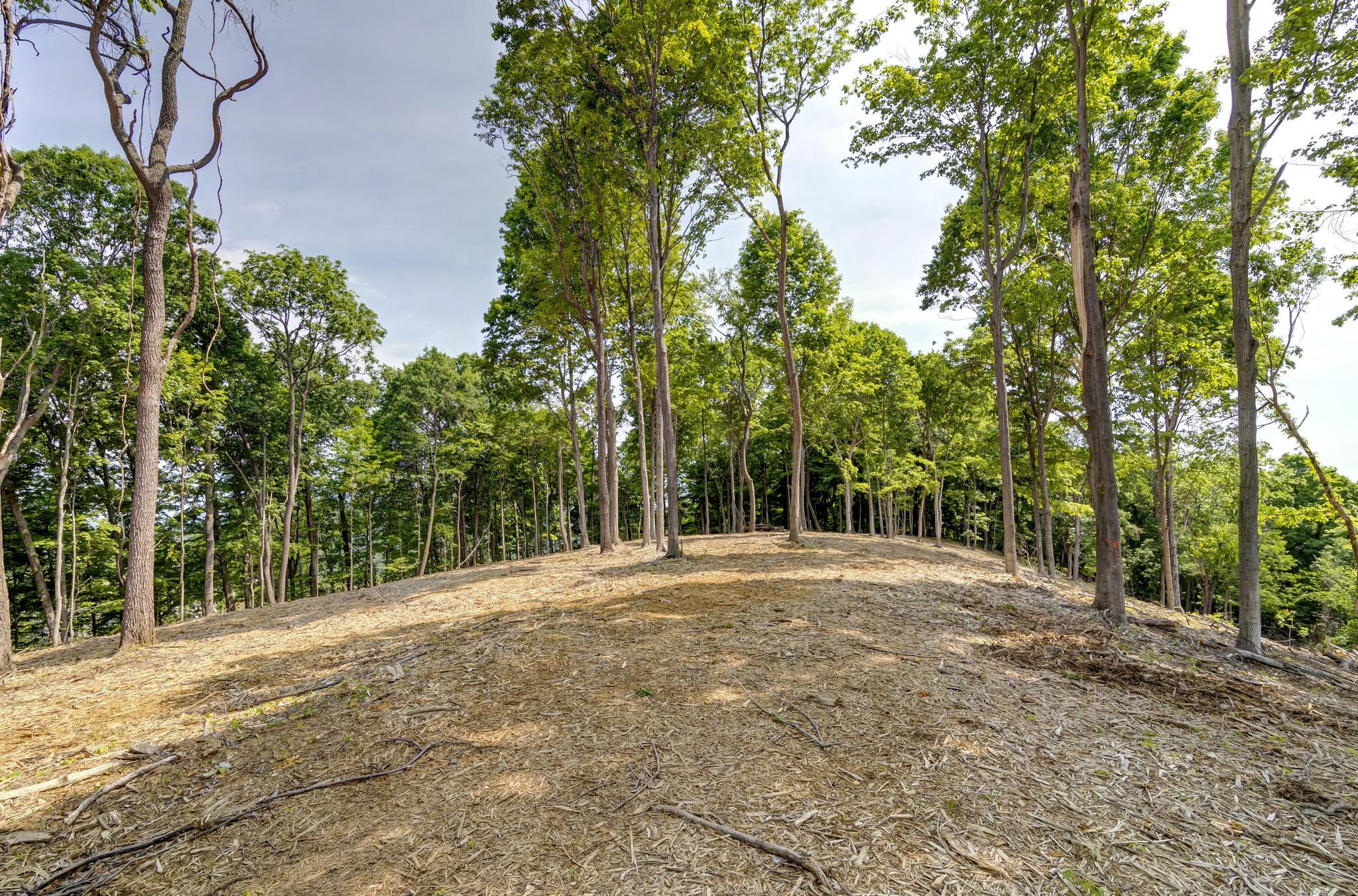 Lot 2 Cooks Landing Road Kingsport, TN 37664 - Photo 16 of 20 CooksLandingGround9