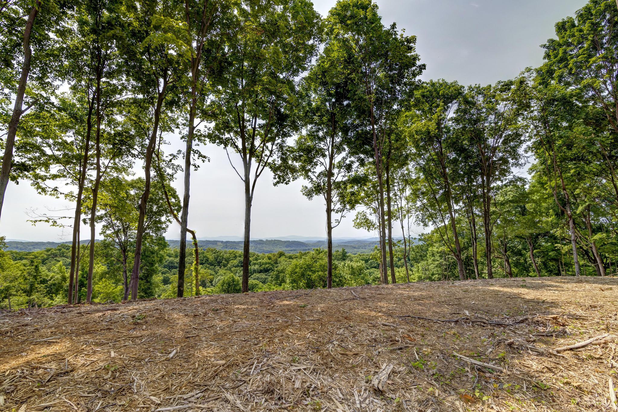 Lot 2 Cooks Landing Road Kingsport, TN 37664 - Photo 17 of 20 CooksLandingGround10