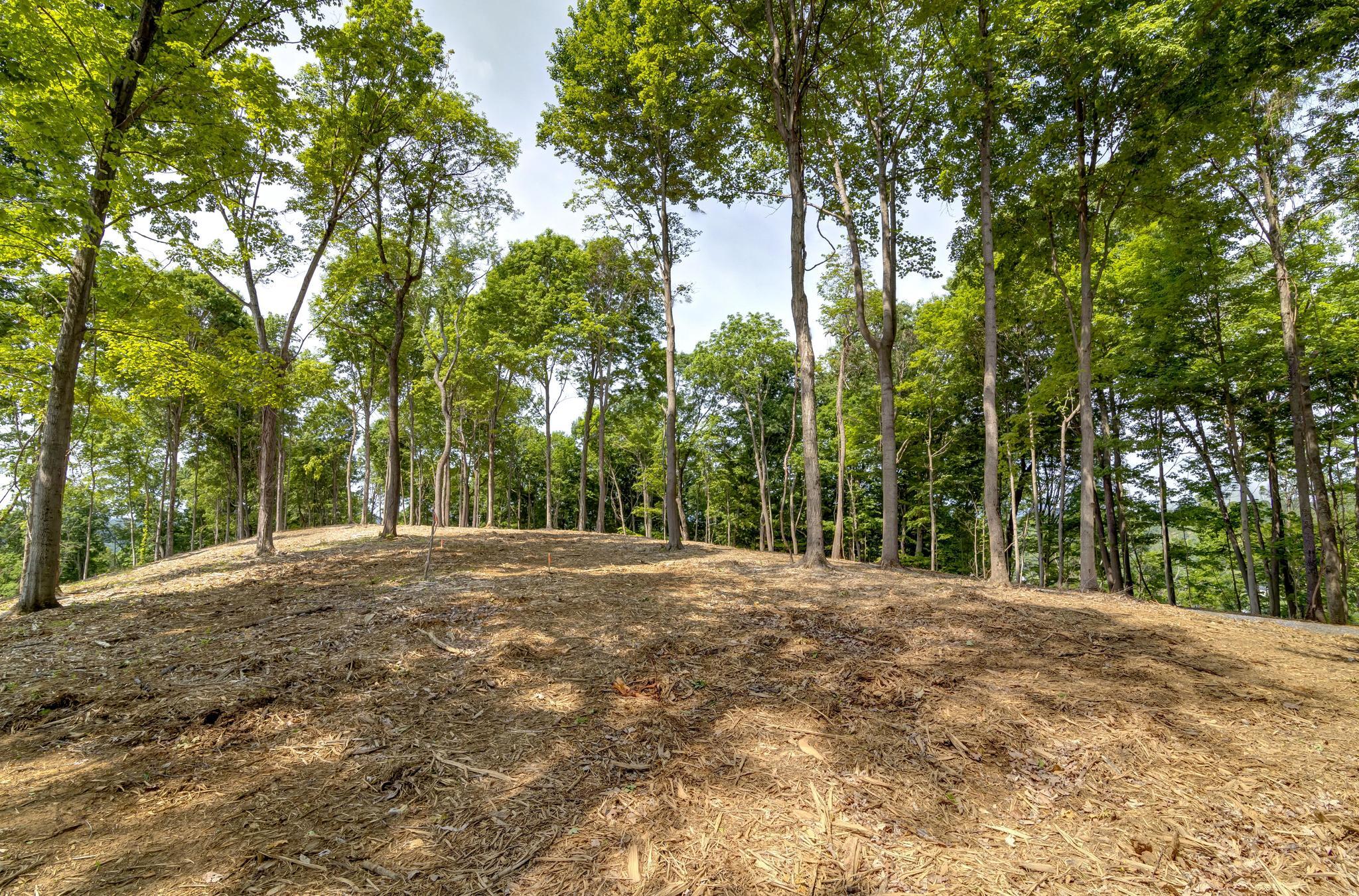 Lot 2 Cooks Landing Road Kingsport, TN 37664 - Photo 18 of 20 CooksLandingGround13