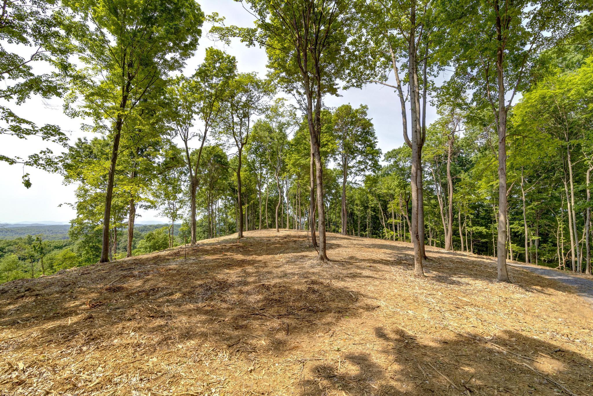 Lot 2 Cooks Landing Road Kingsport, TN 37664 - Photo 19 of 20 CooksLandingGround15