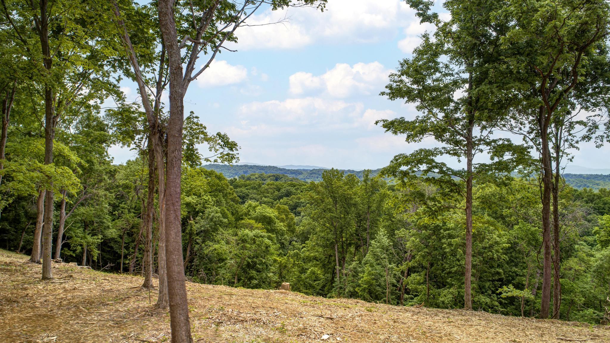 Lot 2 Cooks Landing Road Kingsport, TN 37664 - Photo 3 of 20 CooksLandingDrone2