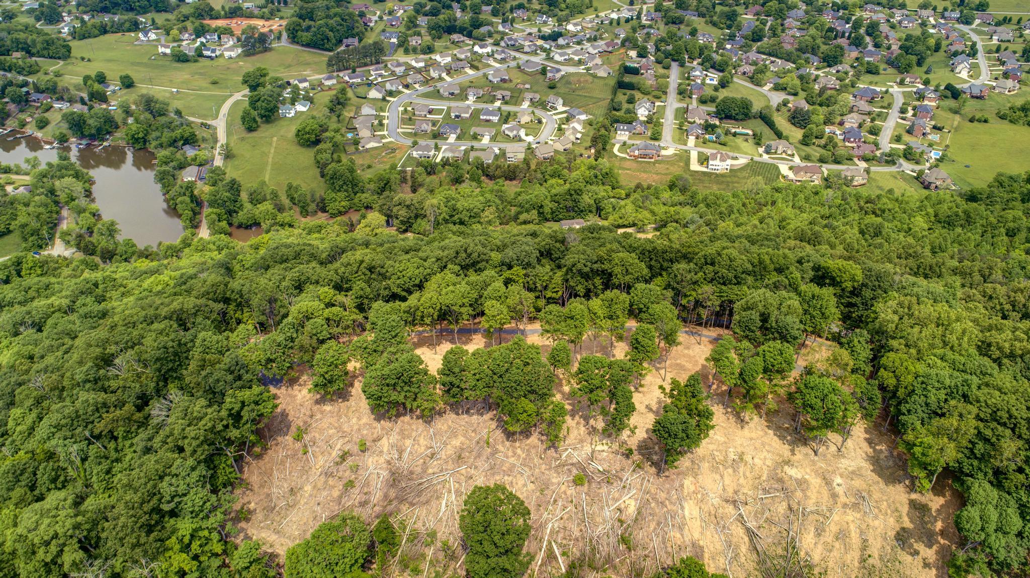 Lot 2 Cooks Landing Road Kingsport, TN 37664 - Photo 4 of 20 CooksLandingDrone3