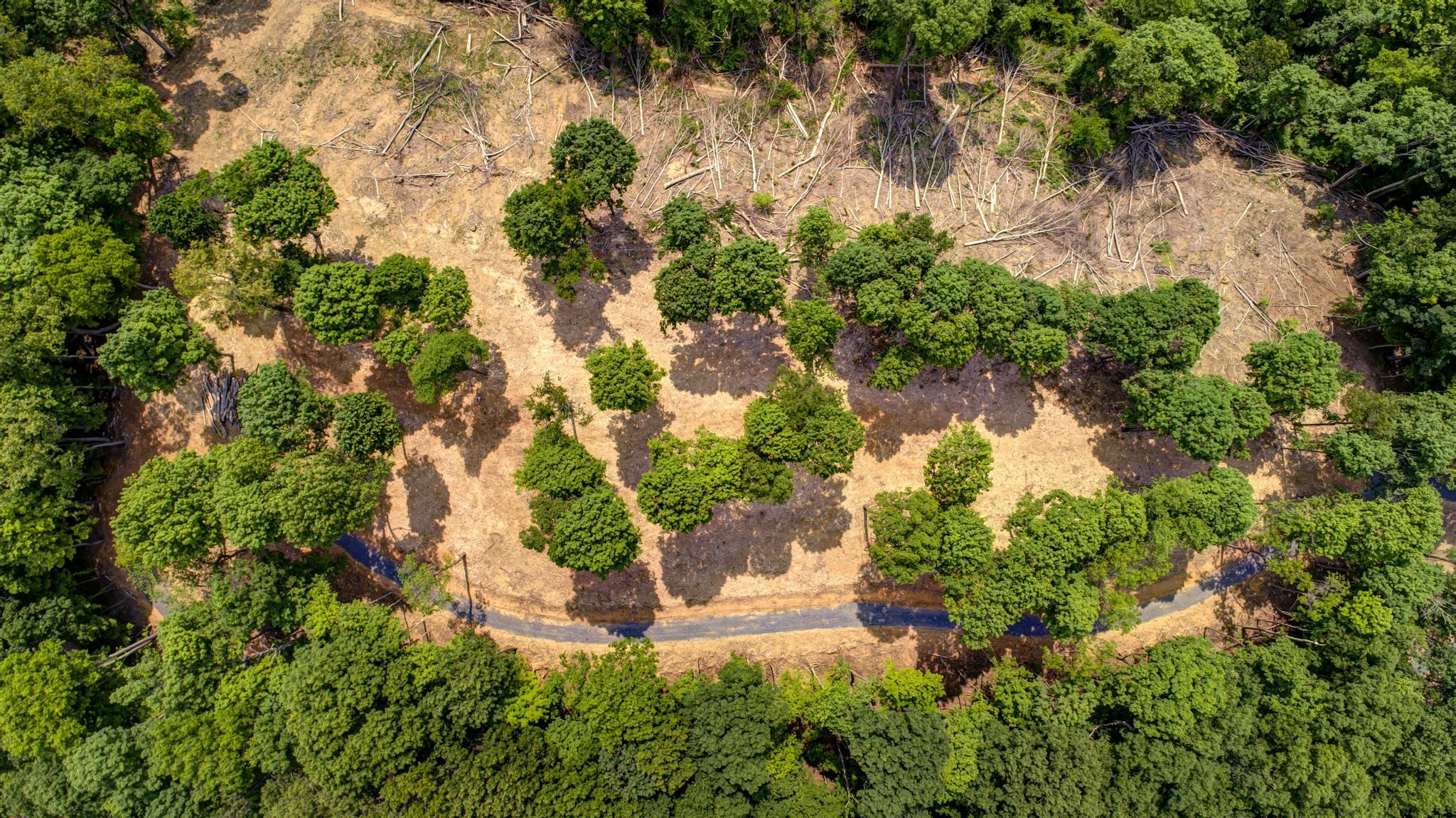 Lot 2 Cooks Landing Road Kingsport, TN 37664 - Photo 5 of 20 CooksLandingDrone4