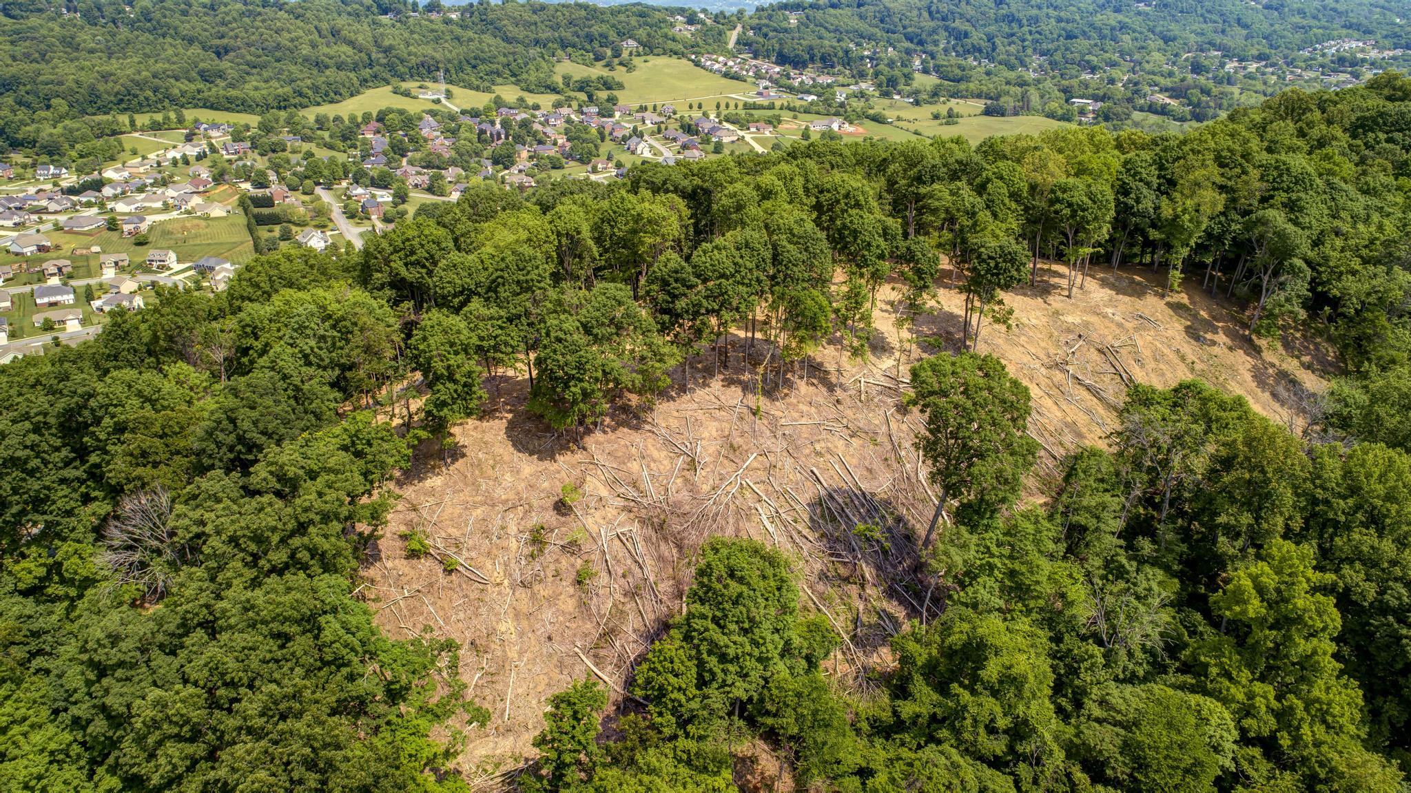 Lot 2 Cooks Landing Road Kingsport, TN 37664 - Photo 7 of 20 CooksLandingDrone11