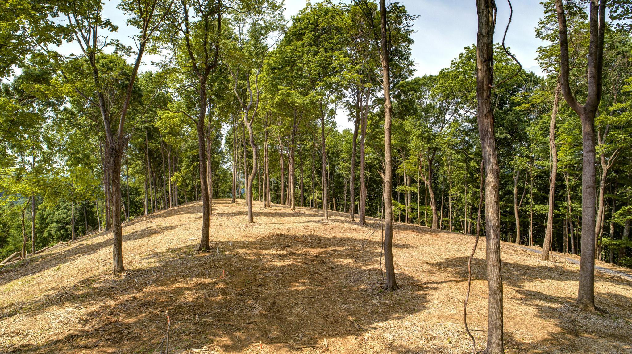 Lot 2 Cooks Landing Road Kingsport, TN 37664 - Photo 9 of 20 CooksLandingDrone14