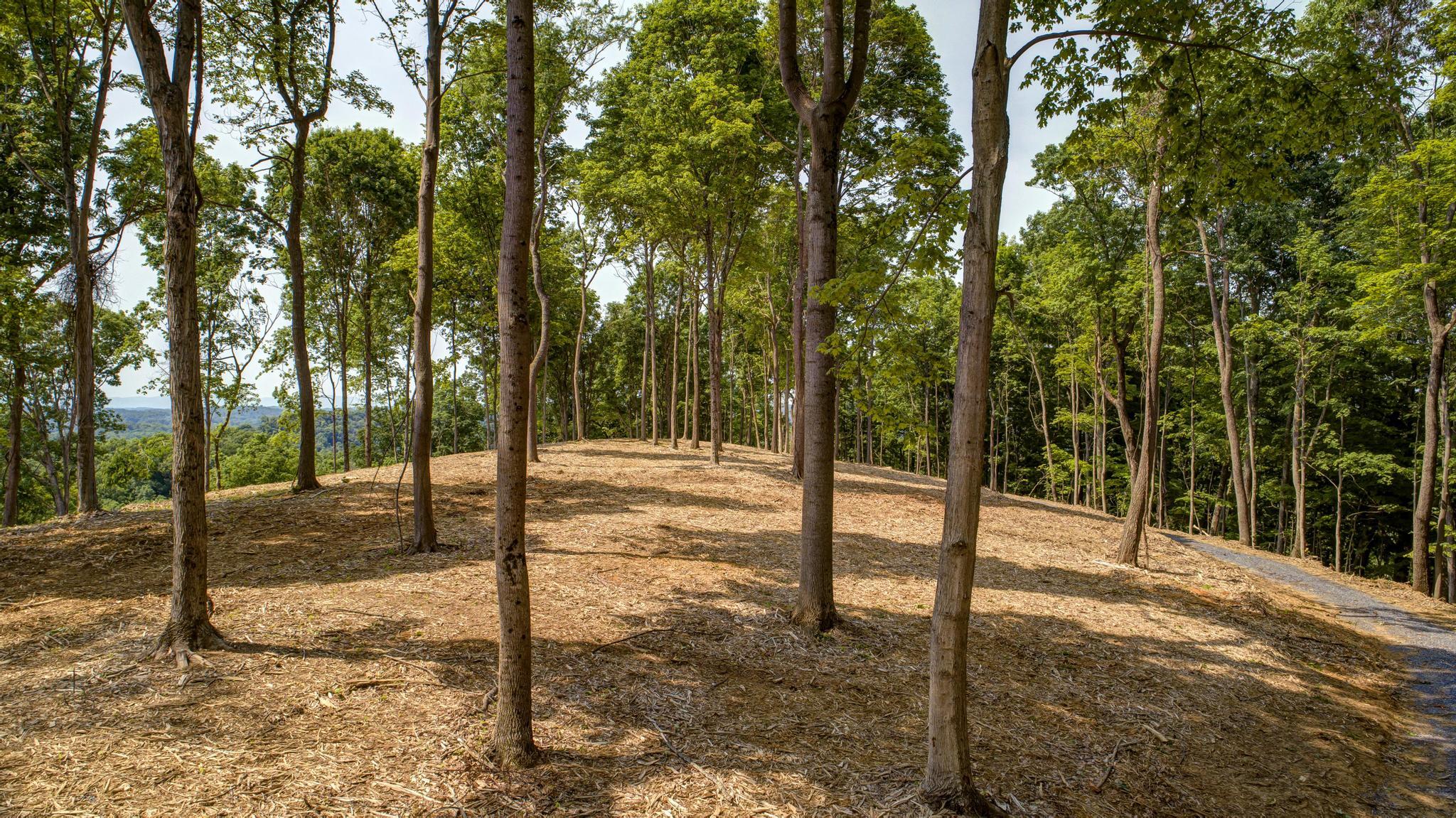 Lot 2 Cooks Landing Road Kingsport, TN 37664 - Photo 10 of 20 CooksLandingDrone15