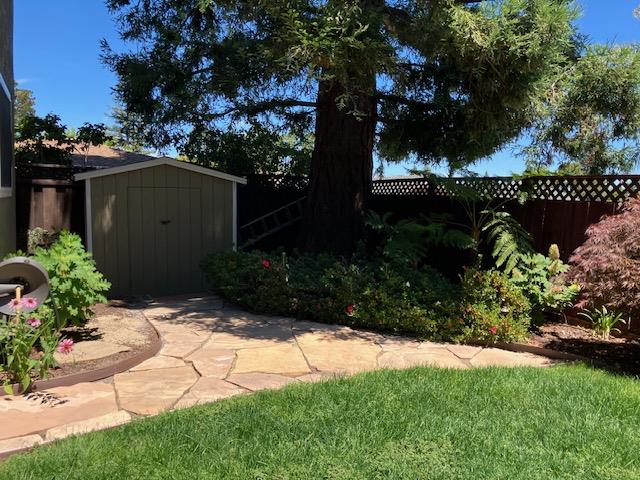 5 Maple Way San Carlos, CA 94070 - Photo 9 of 21 a view of backyard and tree