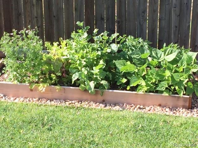 8039 Raspberry Drive Frederick, CO 80504 - Photo 27 of 28 a view of a garden with a pathway
