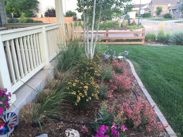 8039 Raspberry Drive Frederick, CO 80504 - Photo 3 of 28 a view of a garden with lake