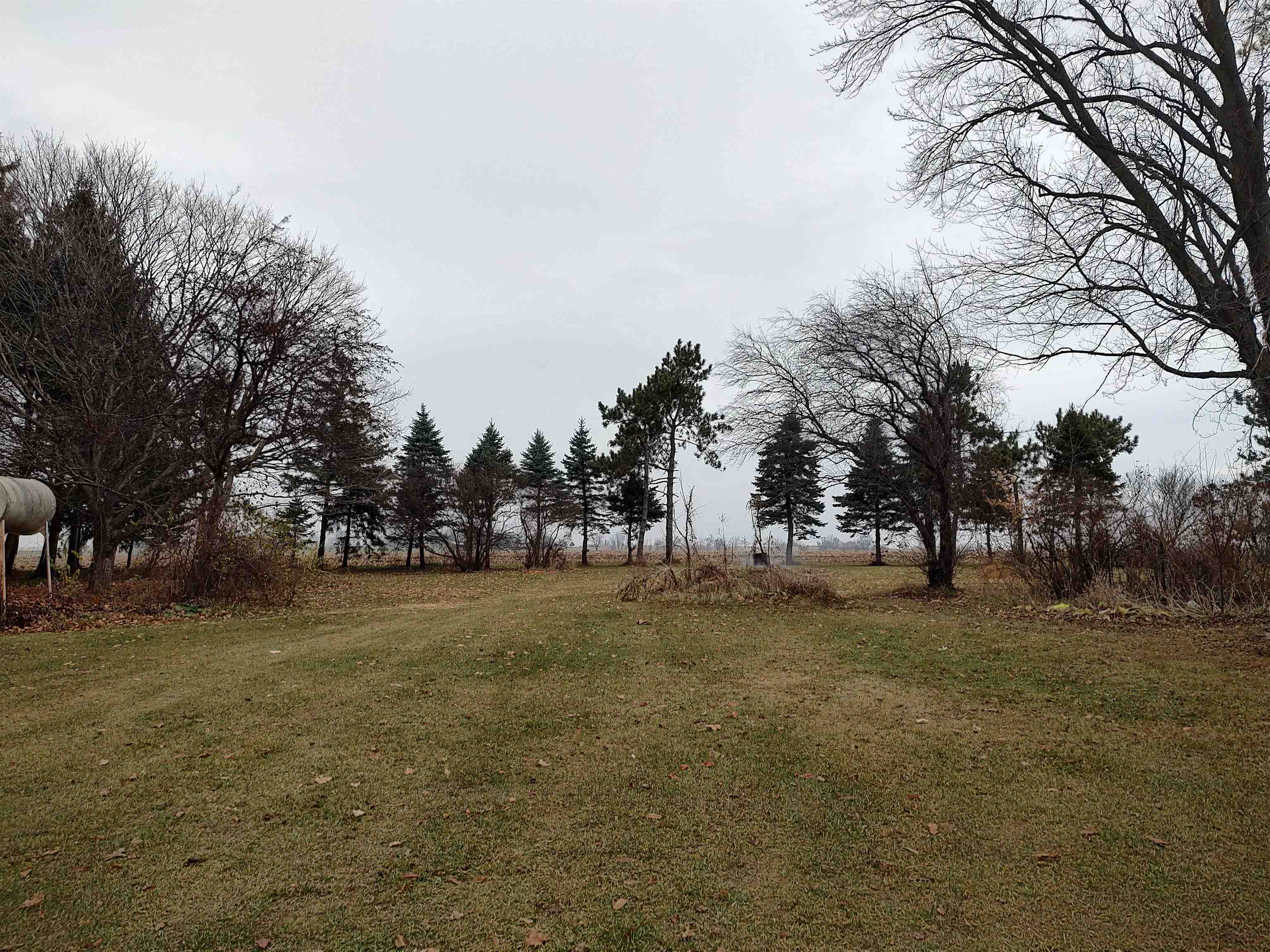 11090 Woodstock Road Garden Prairie, IL 61038 - Photo 22 of 37 a view of a field with trees in the background