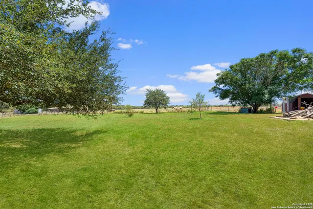a view of yard with green space and trees